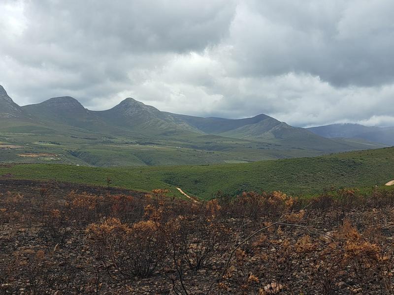 0 Bedroom Property for Sale in Kareedouw Eastern Cape